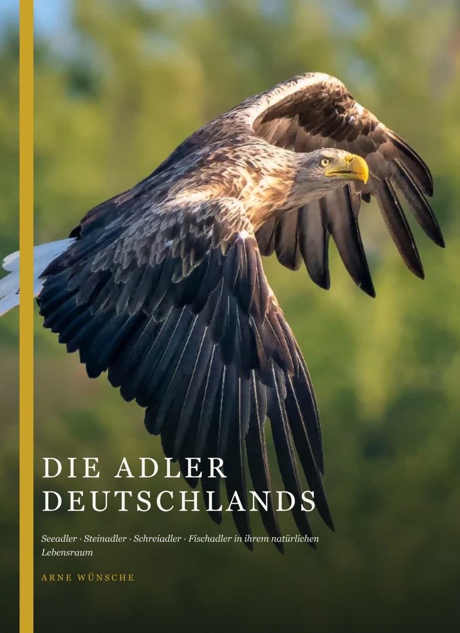 Cover: Die Adler Deutschlands