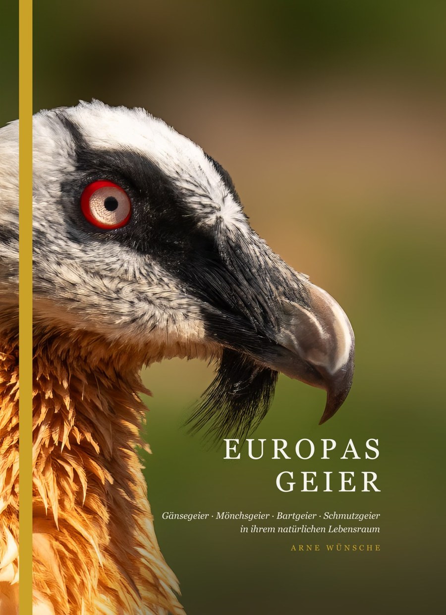 Cover: Europas Geier