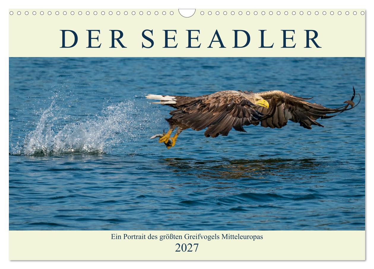 Kalender: Der Seeadler