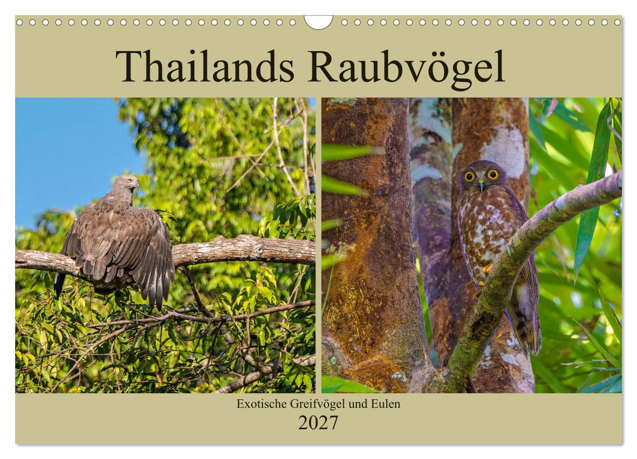 Kalender: Thailands Raubvögel