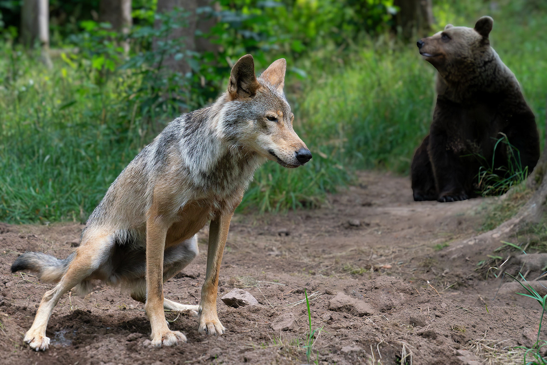 Gaia und Jurka