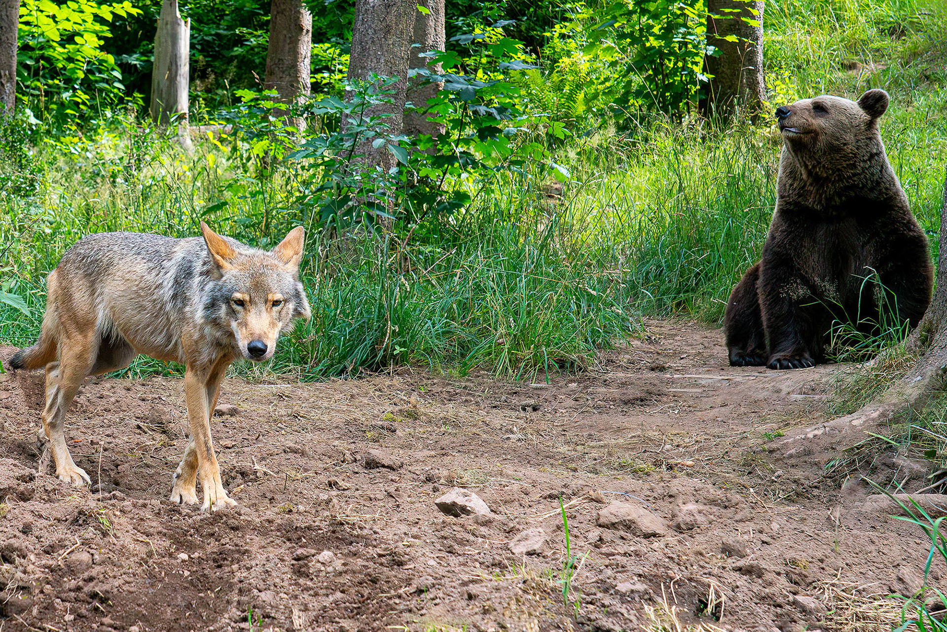 Gaia und Jurka