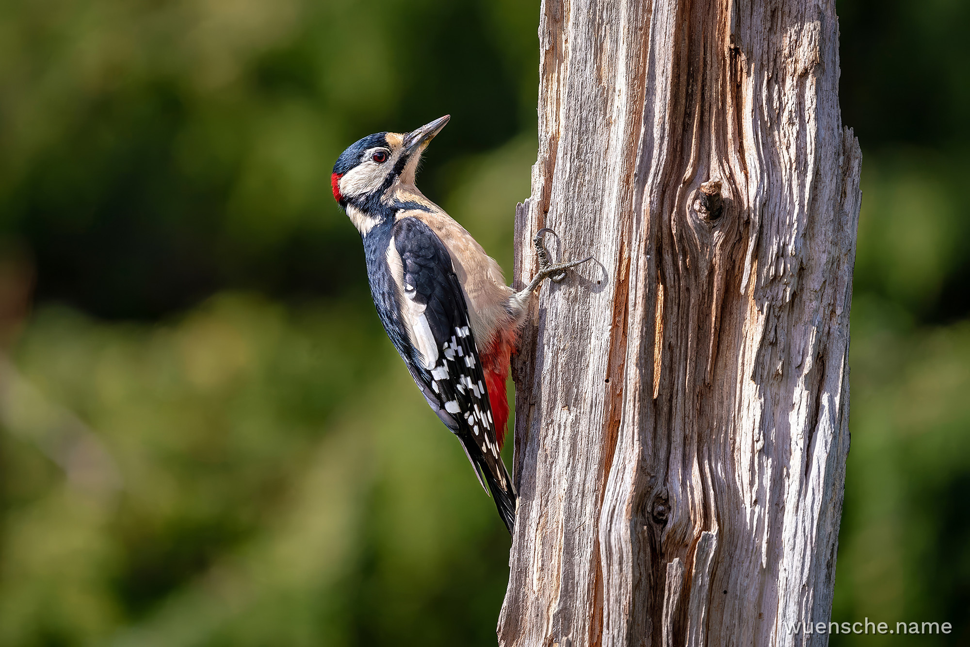 male