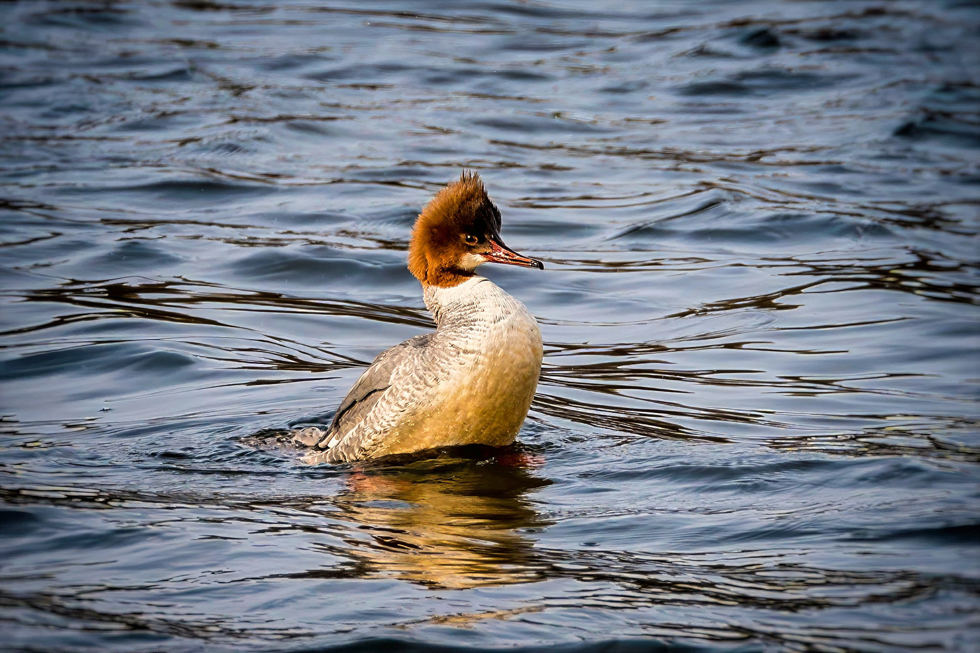 female