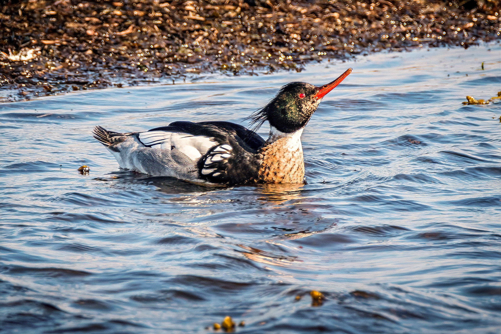 male