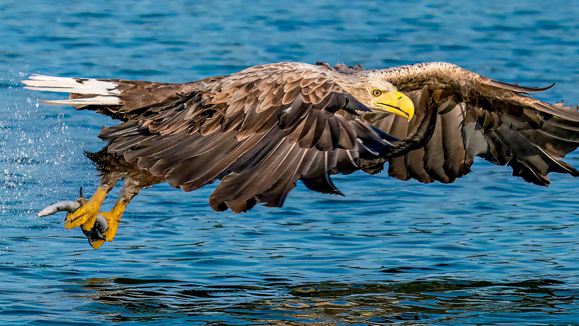 Foto Europa