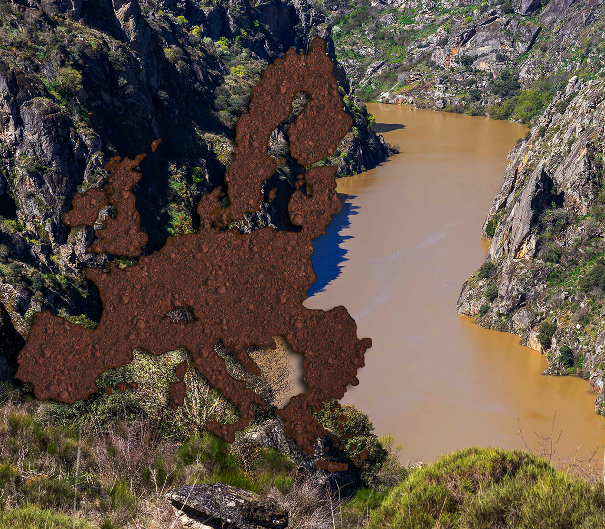 Wildlife Europa